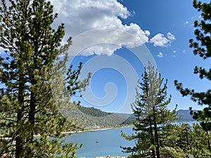 Pine Trees Surrounding Blue Big Bear Lake