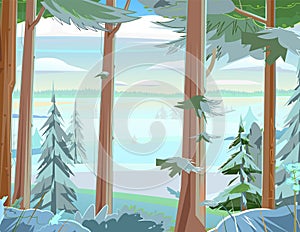 Pine Trees. Trunks of fir and Spruce. Snow frosty landscape. Beautiful Forest Panorama. Illustration in cartoon style