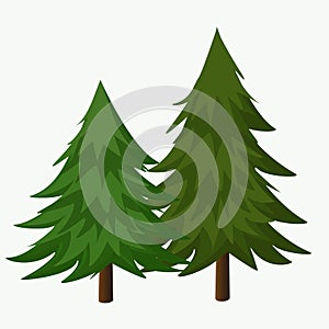 Pine Trees Vector Illustration.Coniferous Tree. photo