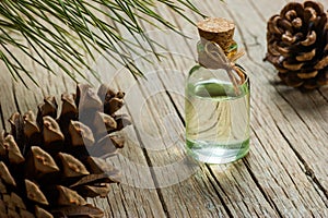 Pine turpentine essential oil in glass bottle photo