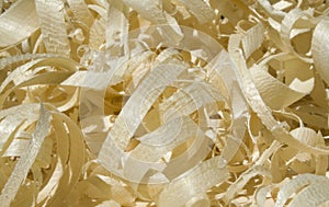 Pine wood chippings