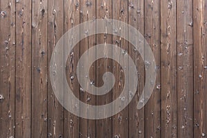 pine wood plank texture background