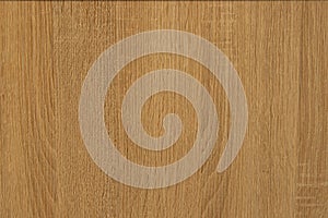 Pine wood structure - wooden background