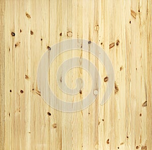 Pine wood texture