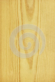 Pine (wood texture)