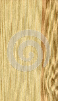 Pine (wood texture)