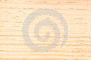 Pine Wood Texture