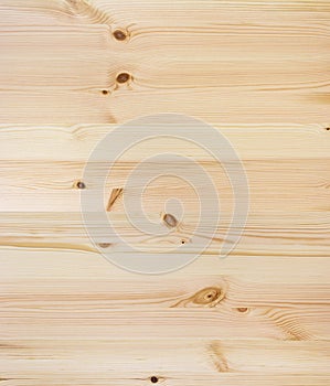 Pine wood texture photo