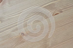 Pine wood texture background