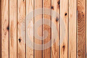 Pine wood wall or wood panel vertical line