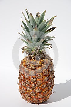 Ananas 