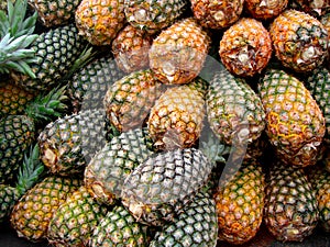 Ananas 