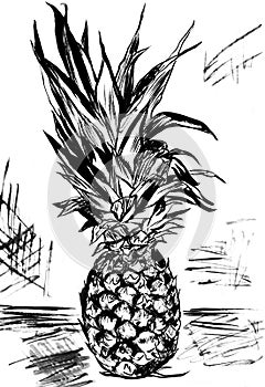 Pineaple sketc-style,black-white,illustration,coloring page wiht background photo