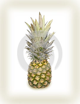 Pineapple