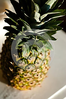 Pineapple