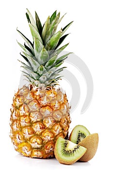 Ananas 