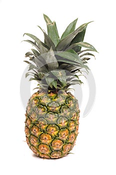 Ananas 