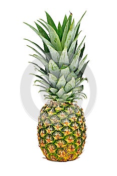 Pineapple