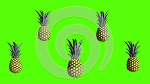 Pineapple, 3D animation video for cookers, 4K