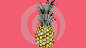 Pineapple, 3D animation video on Living Coral background