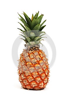 Ananas 