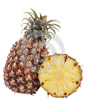 Pineapple photo