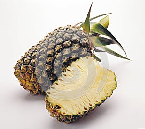 Pineapple photo