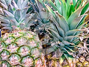 Pineapple is also used in pharmacies. From the plant the active ingredient called bromelain is extracted which is an important pro photo
