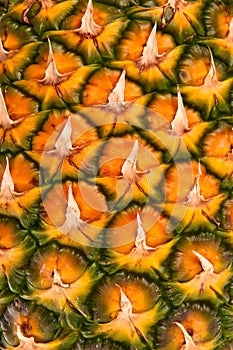 A pineapple, ananas.