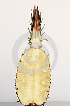 Pineapple Ananas comosus, cut-open  on  white background