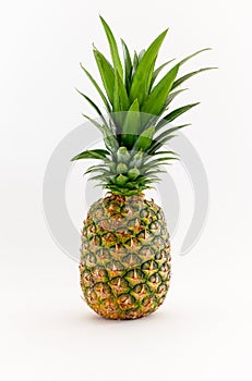Pineapple -Ananas comosus- isolated on white background
