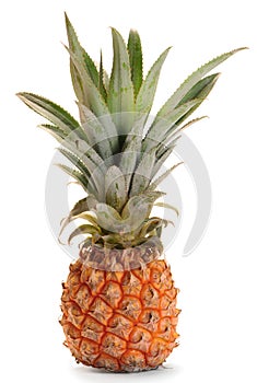 Pineapple ananas fruit