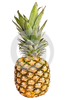 Pineapple ananas fruit isolated on white background