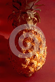 Pineapple - Ananus Cosmosus Fruit