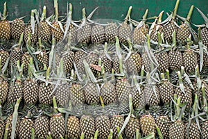 Pineapple apple stock photo in the fresh market.