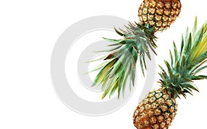 Pineapple on background