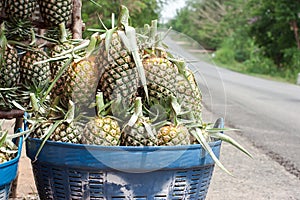 Pineapple in basket