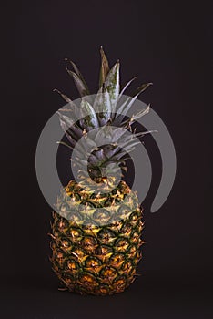 Pineapple on a black background.