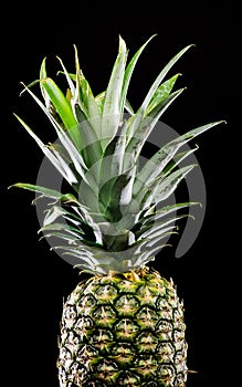 Pineapple on black