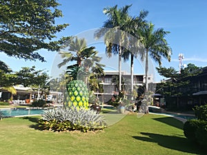 Pineapple center garden hotel resort