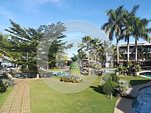 Pineapple center garden of hotel resort