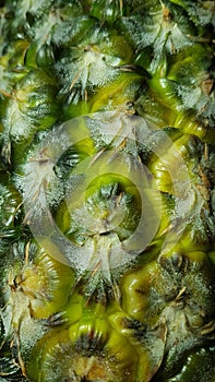 Pineapple, close-up of pineapple peel