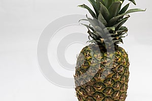 Pineapple closeup