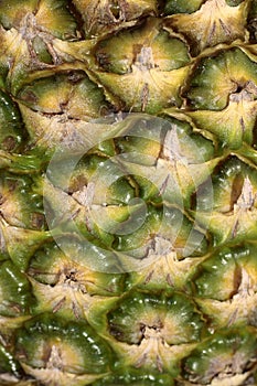 Pineapple closeup