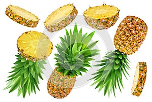 Pineapple collection. Whole and sliced pineapple isolated on white background