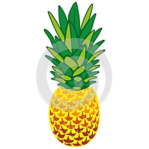 Pineapple. Colorful silhouette in a flat style. Design for greeting cards, summer tropical drinks