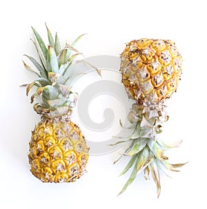 Pineapple cut in half on white background. Two half baby pineapple isolated on whitt and juicy.e background. The flesh