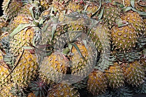 Pineapple Decoration in the Market
