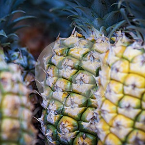 A Pineapple Display, Roadside Fruit Stand, Lahaina, West Maui, H