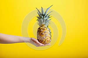 Pineapple in female hand. Ripe juicy pineapple tropic fruit isolated on yellow color background. Minimalistic summer